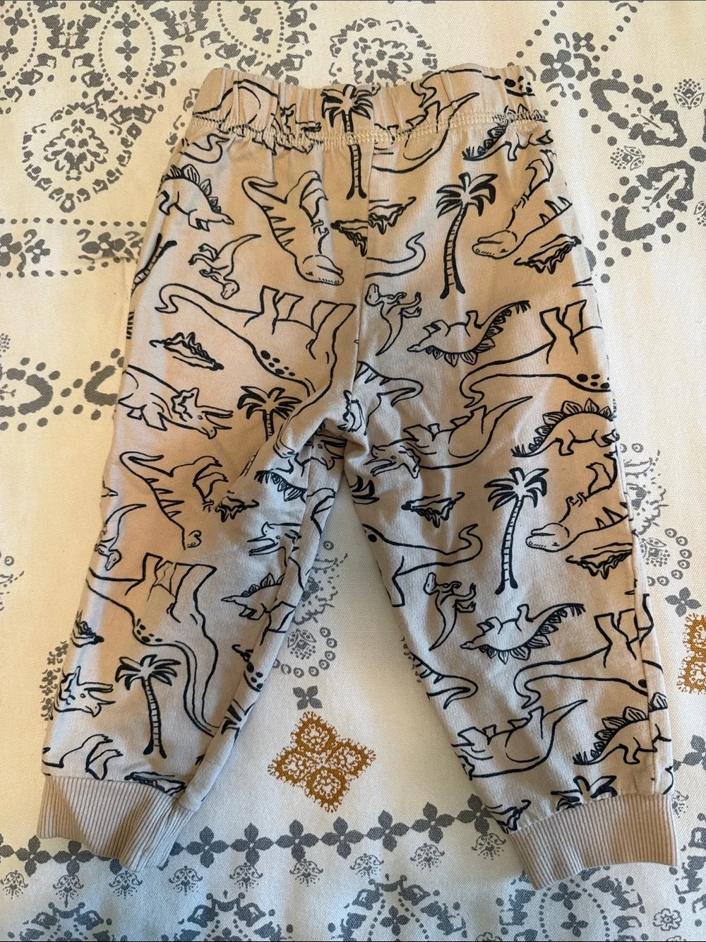 Dinosaur Baby Bodysuit & Pants Set - 18 Months